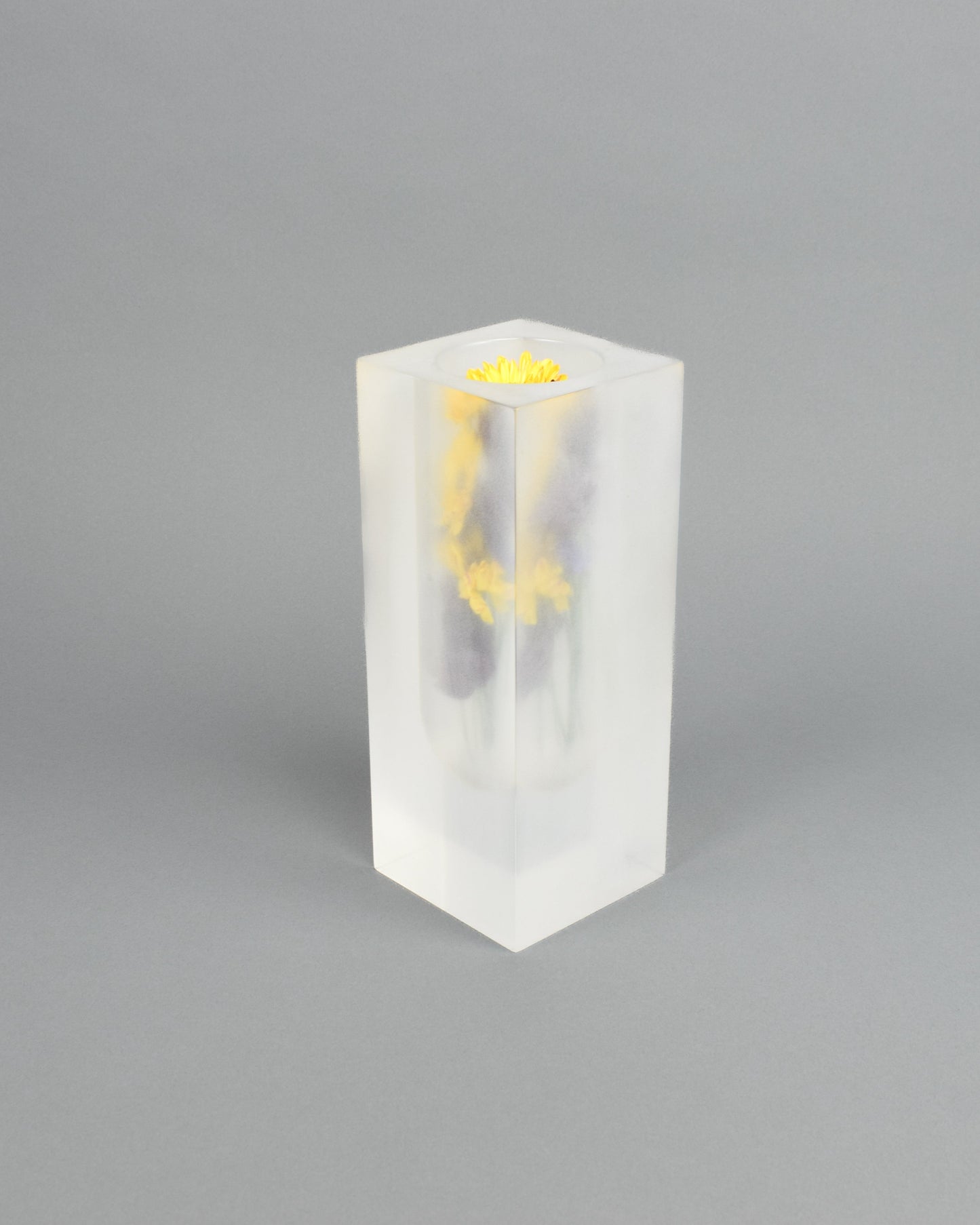 Frosted Vase