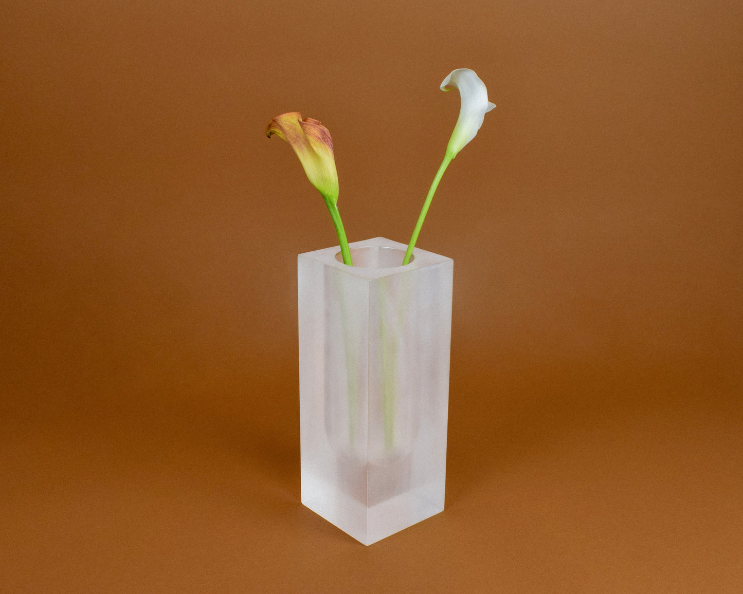 Frosted Vase