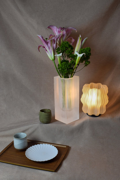 Frosted Vase