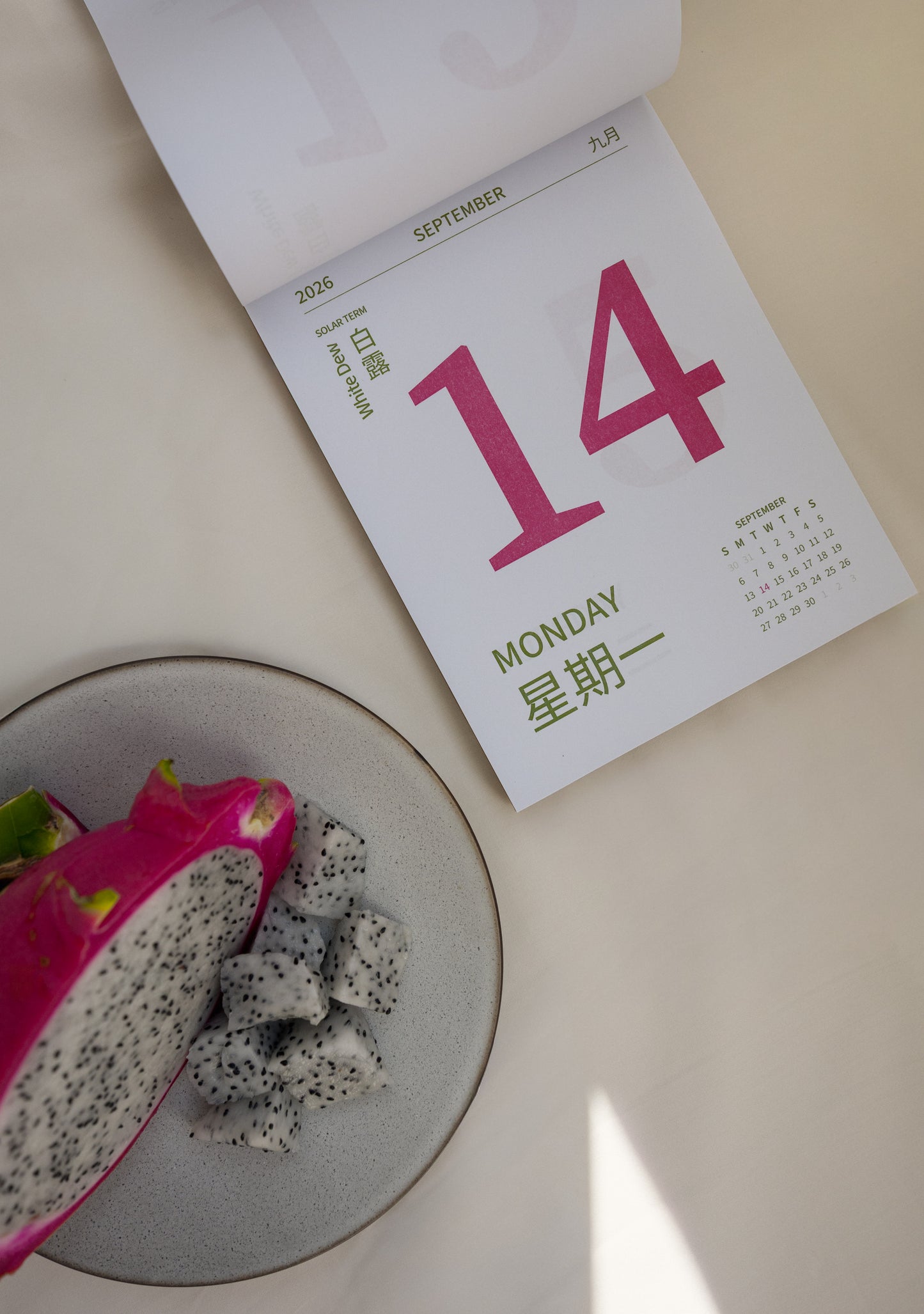 SECONDS | 2026 Daily Wall Calendar